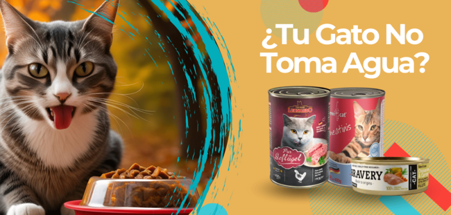 Alimentos húmedos para gatos