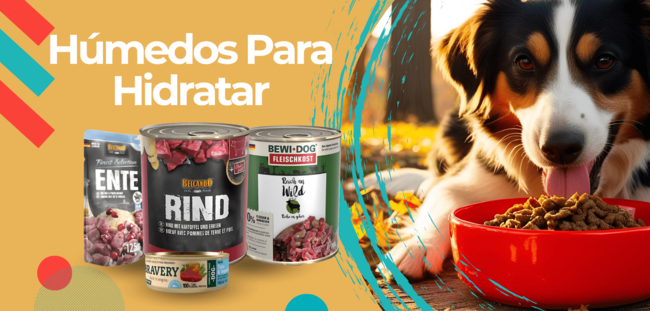 Alimentos húmedos para perros