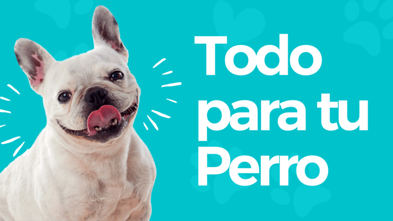 Perros