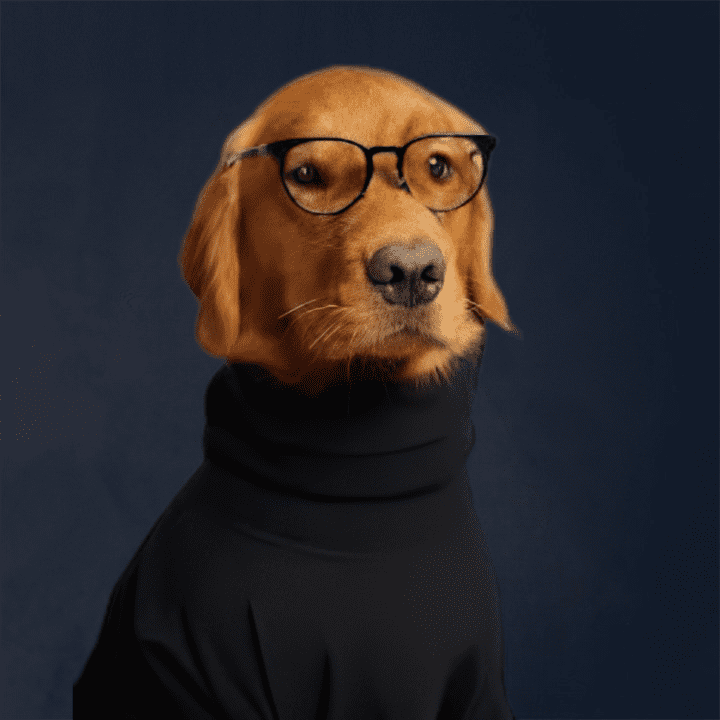perro con apariencia de steve jobs