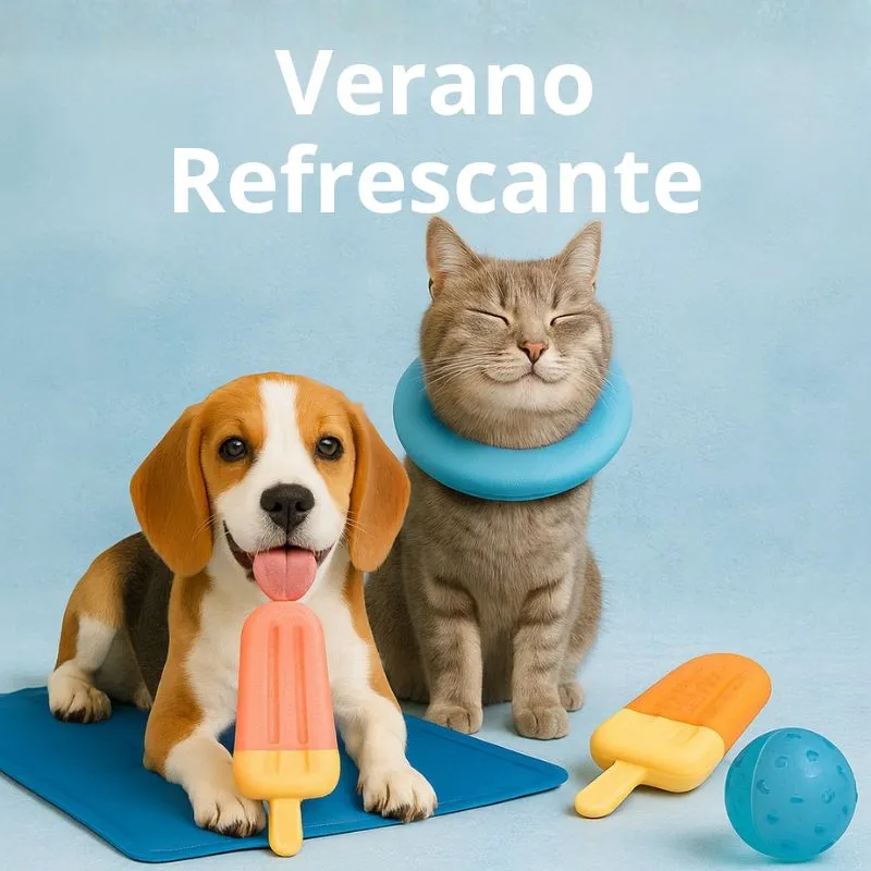 Verano refrescante para perros y gatos